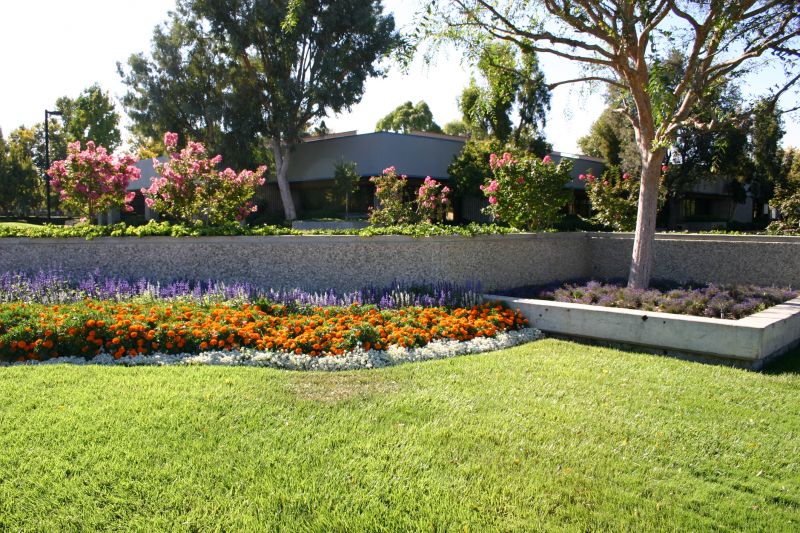 Commercial Landscaping in Honolulu, HI