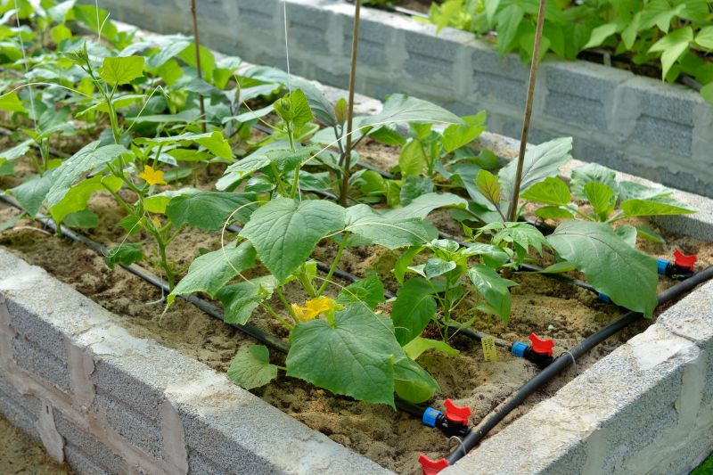 Garden Bed Construction in Honolulu, HI