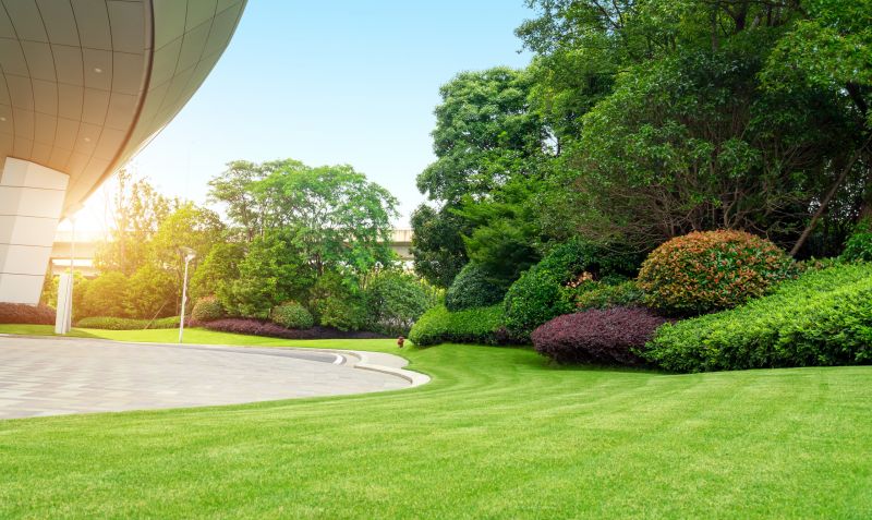 Landscaping Modification in Ventura County, CA