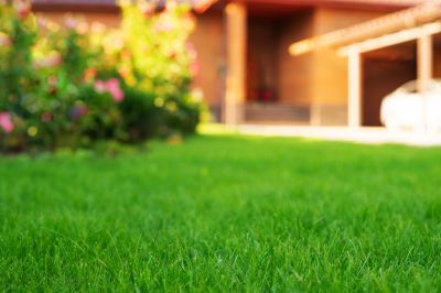 Products For Backyard Renovations in use