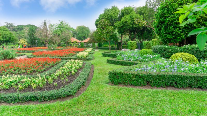 Shrub Planting Service in Ventura County, CA